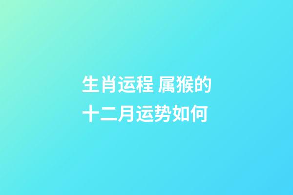 生肖运程 属猴的十二月运势如何